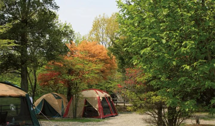 ランドリー設備のあるキャンプ場15選【栃木県】