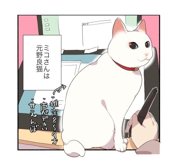 猫を飼うと地震が頻発する話 久川はる(@hisakawa_haru)