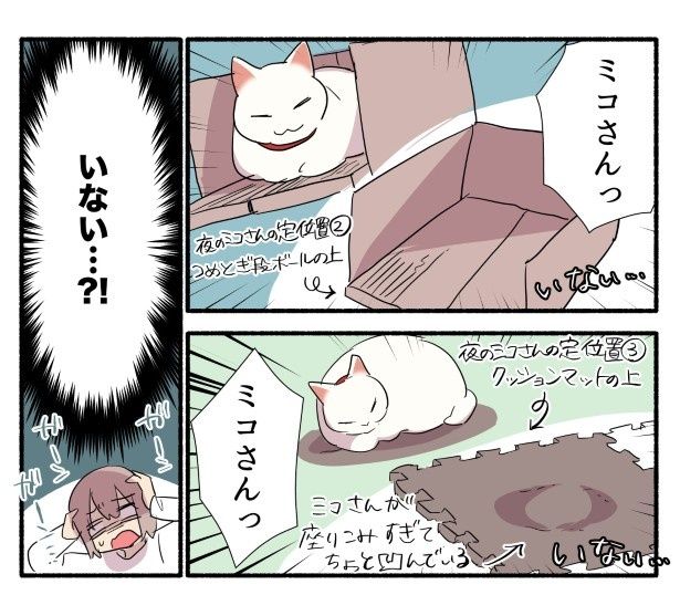 すぐに猫の姿を探すが見当たらない 久川はる(@hisakawa_haru)