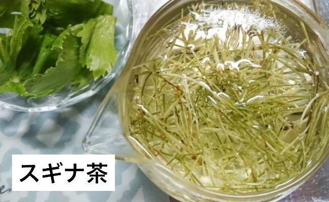 スギナ茶
