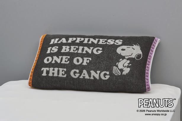 「PEANUTS のびのびタオルピローケース(PEANUTS GANG)」(2200円)