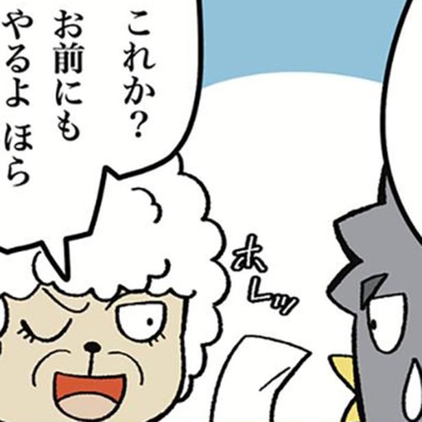 画像提供：ザバックさん