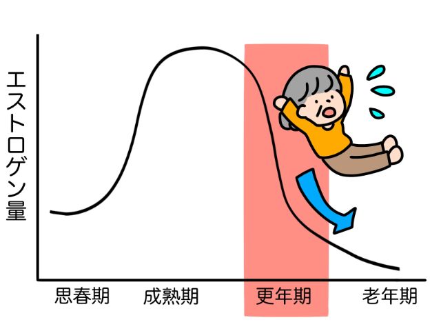 更年期グラフ
