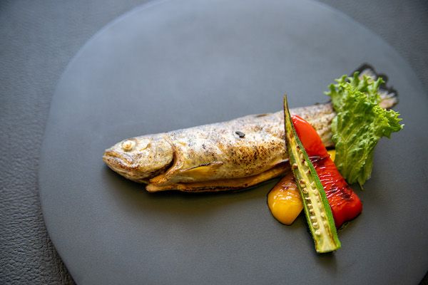 【宮崎県椎葉村】宮崎県椎葉村に里山の恵みをジビエ料理で味わうレストランとスナックがオープン