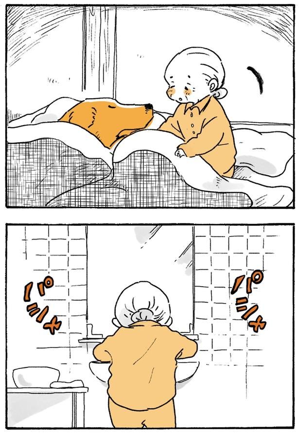 パシャ パシャ （C）佐倉イサミ／KADOKAWA