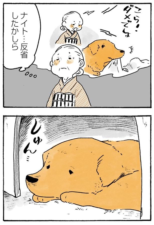 反省したかしら （C）佐倉イサミ／KADOKAWA