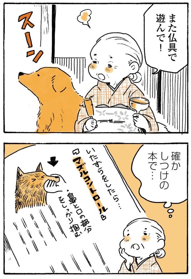 しつけの本で… （C）佐倉イサミ／KADOKAWA