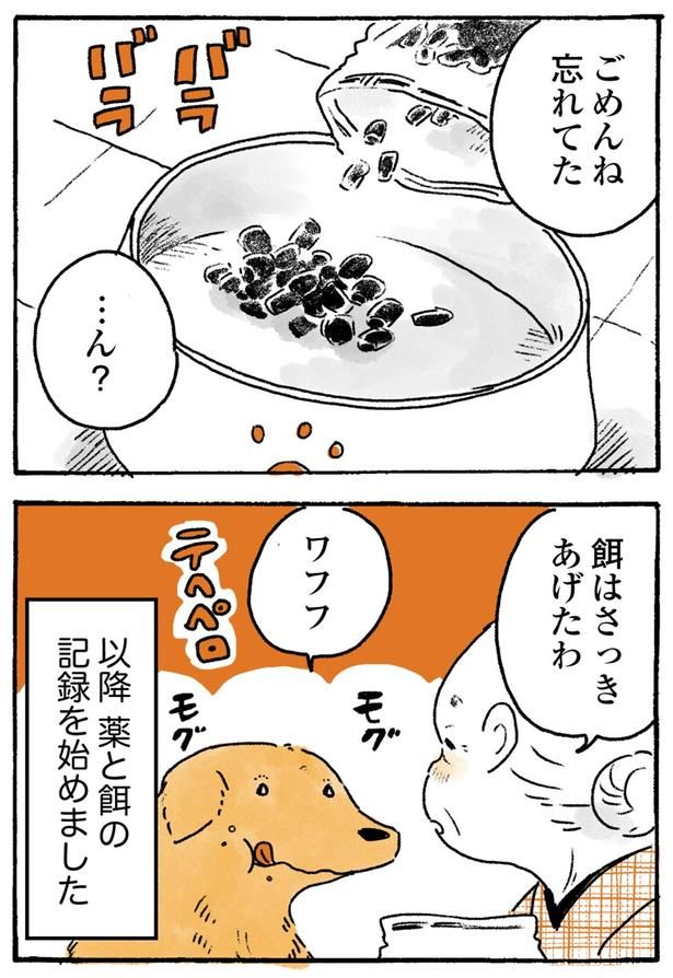 ごめんね忘れてた （C）佐倉イサミ／KADOKAWA