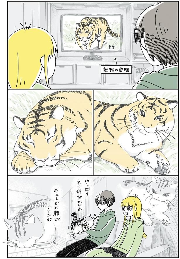 動物の番組を見ていると （C）キュルZ／KADOKAWA