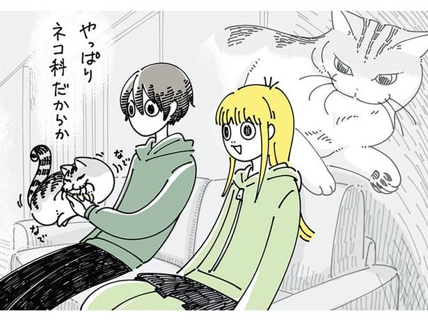 テレビで動物を見て思い浮かべるのは… （C）キュルZ／KADOKAWA