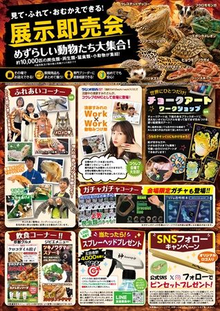 【兵庫県神戸市】爬虫類の体験型展示即売会「コウレプ2026秋」開催！両生類・猛禽類・小動物も大集合