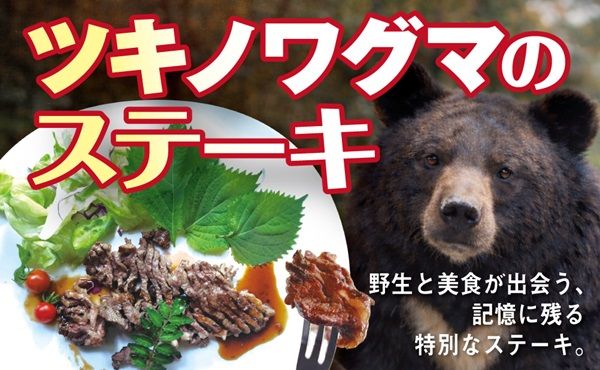 【兵庫県神戸市】爬虫類の体験型展示即売会「コウレプ2026秋」開催！両生類・猛禽類・小動物も大集合
