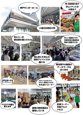 【兵庫県神戸市】爬虫類の体験型展示即売会「コウレプ2026秋」開催！両生類・猛禽類・小動物も大集合