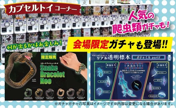 【兵庫県神戸市】爬虫類の体験型展示即売会「コウレプ2026秋」開催！両生類・猛禽類・小動物も大集合