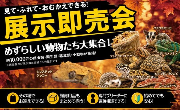 【兵庫県神戸市】爬虫類の体験型展示即売会「コウレプ2026秋」開催！両生類・猛禽類・小動物も大集合