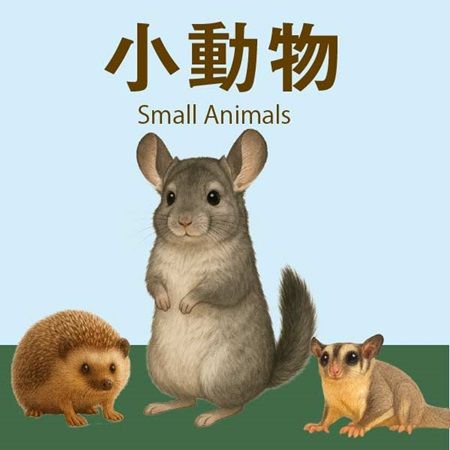 【兵庫県神戸市】爬虫類の体験型展示即売会「コウレプ2026秋」開催！両生類・猛禽類・小動物も大集合