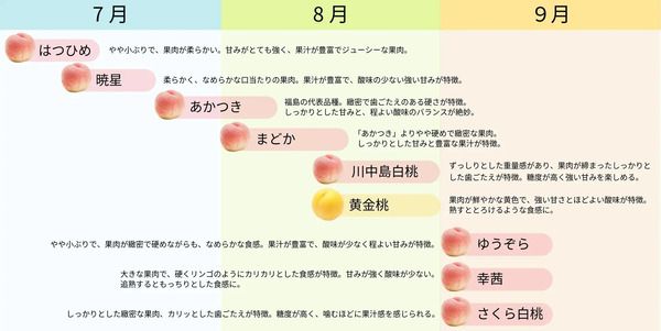 【福島県・茨城県・東京都】フルーツショップ青木が「ふくしまピーチパラダイス」開催！桃のプレゼントも