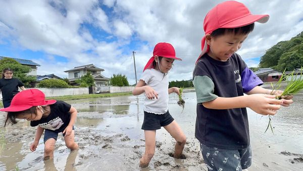 【岡山県赤磐市】地域の田んぼと園をつなぐ「食農保育プロジェクト」始動！岡山県の子どもたちが参加