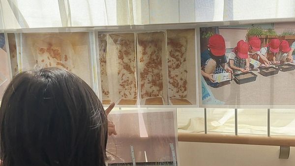 【岡山県赤磐市】地域の田んぼと園をつなぐ「食農保育プロジェクト」始動！岡山県の子どもたちが参加