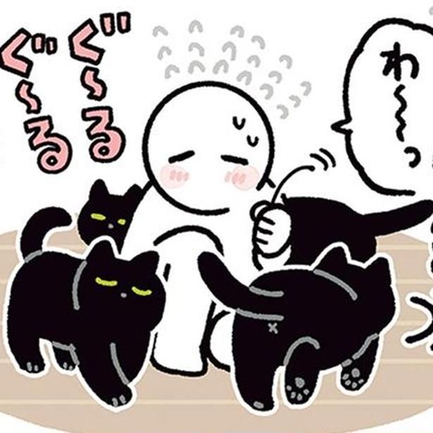 飼い主がしゃがんだら （C）AKR／KADOKAWA