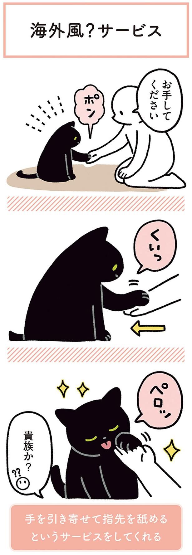 貴族か？ （C）AKR／KADOKAWA
