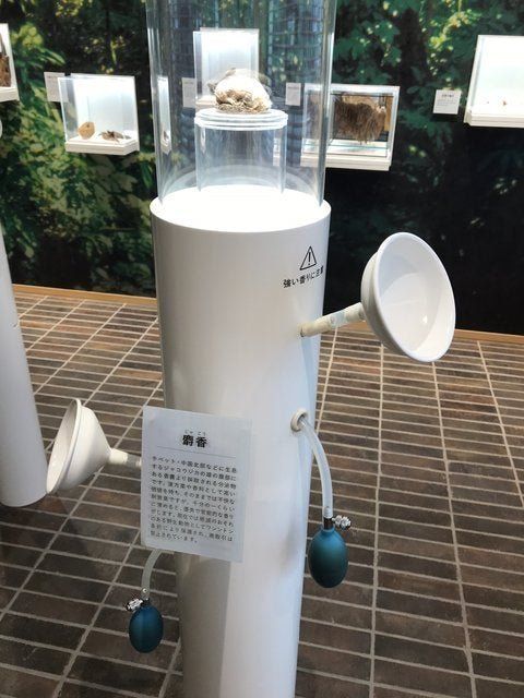  (313719)