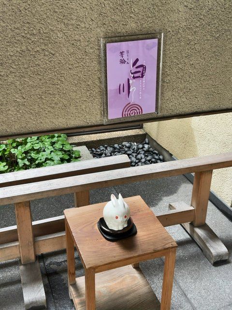  (313710)