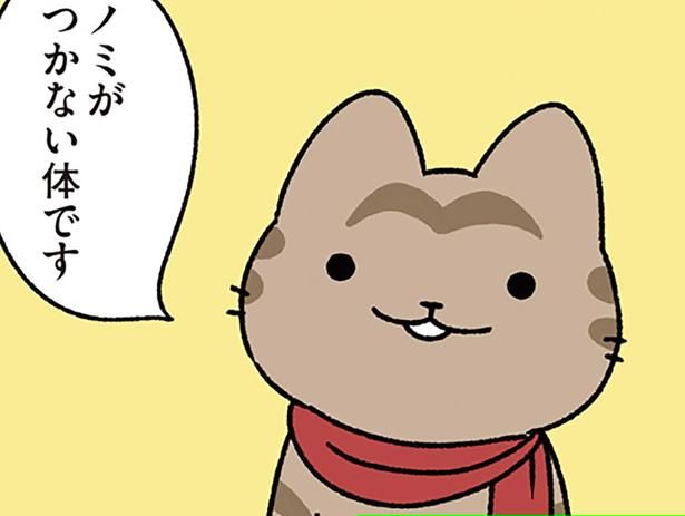 ノミがつかない体 （C）ぱんだにあ／KADOKAWA