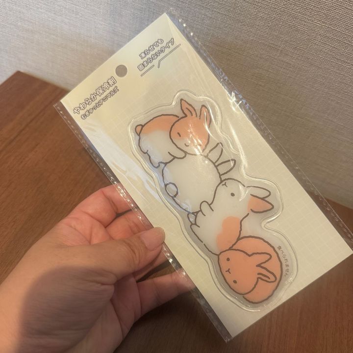 【セリア】シマエナガちゃんの次はこれが来る！エゾモモンガとウサギちゃんの可愛さが満点◎