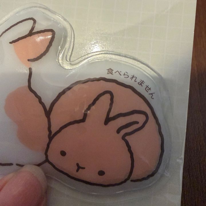 【セリア】シマエナガちゃんの次はこれが来る！エゾモモンガとウサギちゃんの可愛さが満点◎