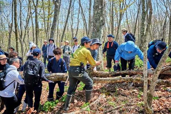 【北海道鶴居村】釧路湿原国立公園内の「鶴居・西武の森」、環境省の「自然共生サイト」に認定！