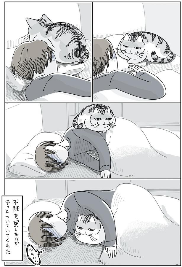 飼い主の不調を察してくれたのか （C）キュルZ／KADOKAWA