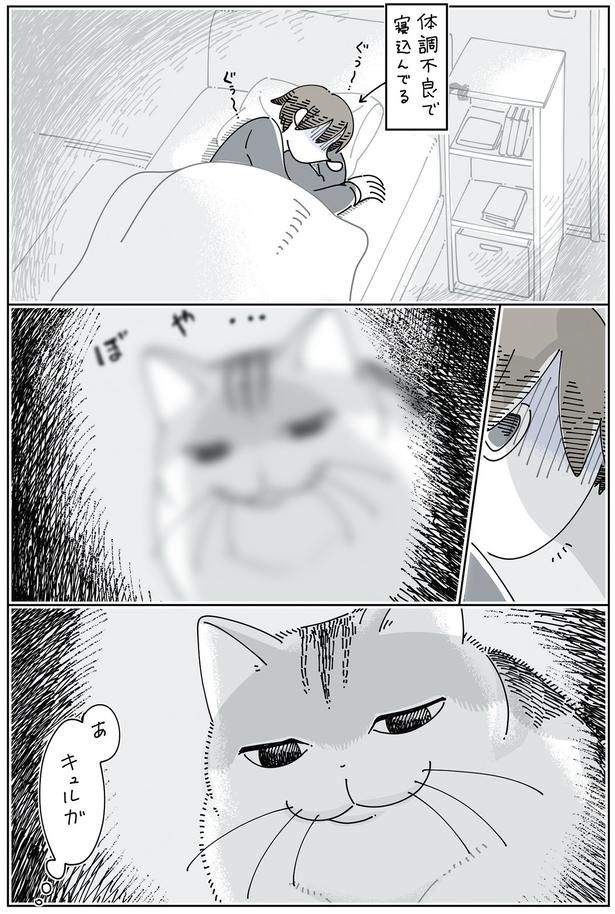 体調不良の飼い主の横に （C）キュルZ／KADOKAWA