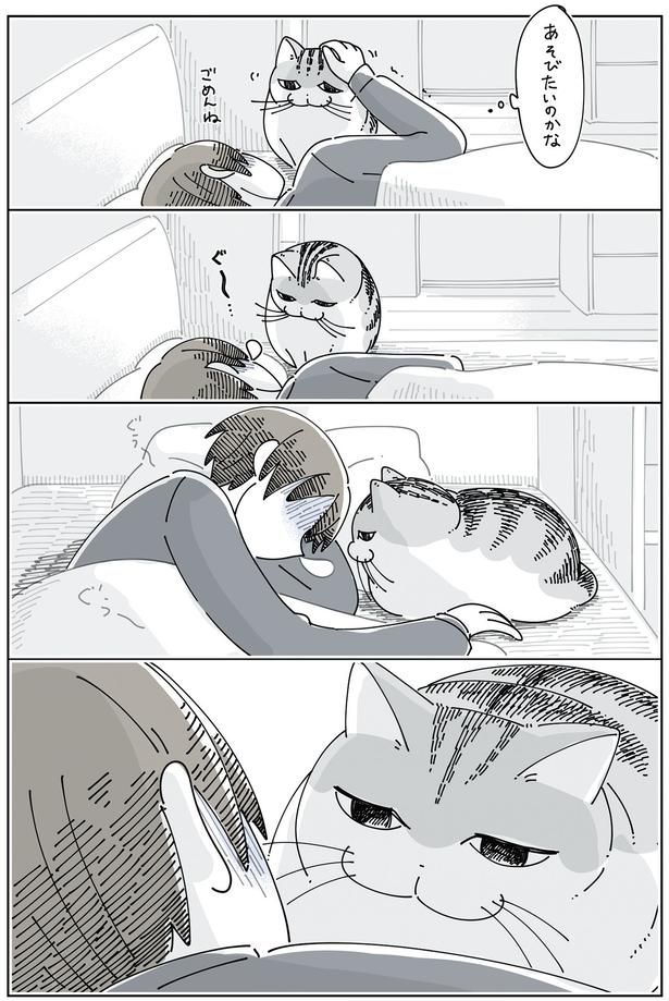 あそびたいのかな？ （C）キュルZ／KADOKAWA