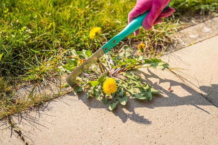 すき間用の雑草カッター