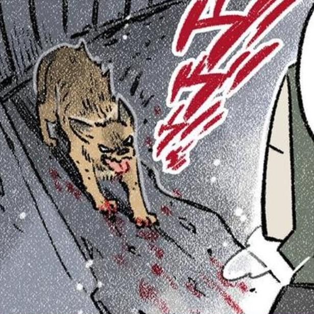 暗闇で低くうなり声をあげていた、保護犬の茶々。 画像提供：(C)ヨシモフ郎／KADOKAWA