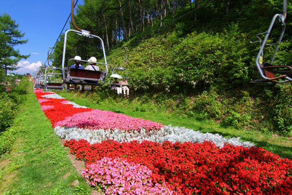 【長野県阿智村】「ヘブンスそのはら」夏季営業スタート！世界の昆虫と触れ合える「昆虫博」も開催