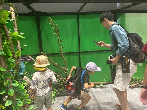 【長野県阿智村】「ヘブンスそのはら」夏季営業スタート！世界の昆虫と触れ合える「昆虫博」も開催