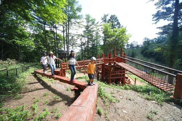 【長野県阿智村】「ヘブンスそのはら」夏季営業スタート！世界の昆虫と触れ合える「昆虫博」も開催