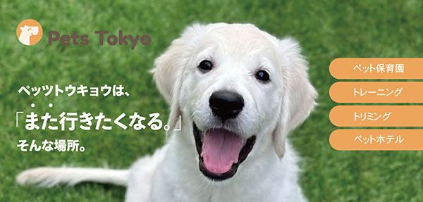 【東京都江戸川区】新店舗のPets Tokyo 小岩店で愛犬と一緒に夏を楽しめる「夏犬祭2026」開催！