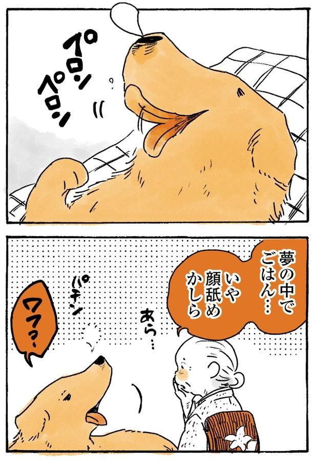 顔舐めかしら （C）佐倉イサミ／KADOKAWA