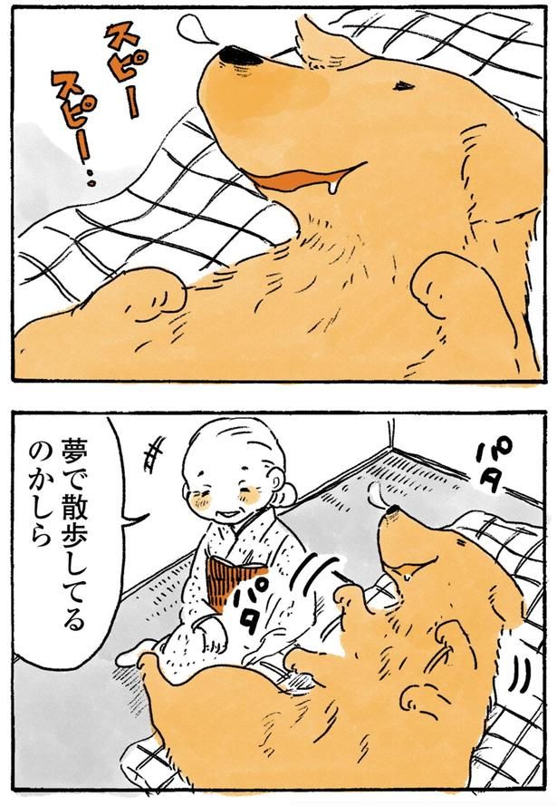 スピースピー （C）佐倉イサミ／KADOKAWA