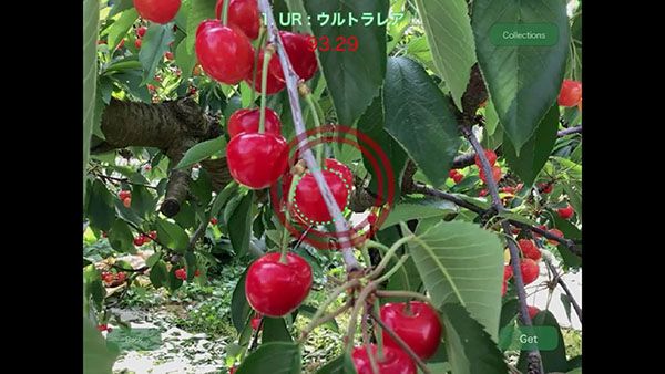 【山形県】山形発VR×AI観光プロジェクトがクラファン開始。観光農園でのAI体験などを検証