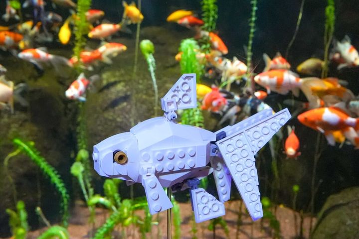 金魚のレゴ(R) モデル イメージ