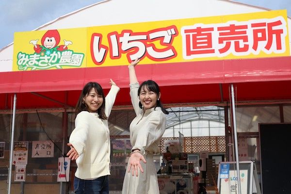 【岡山県美作市】白桃を3玉トッピングしたかき氷や白桃食べ放題も！美作農園や農園カフェ湯郷で提供中