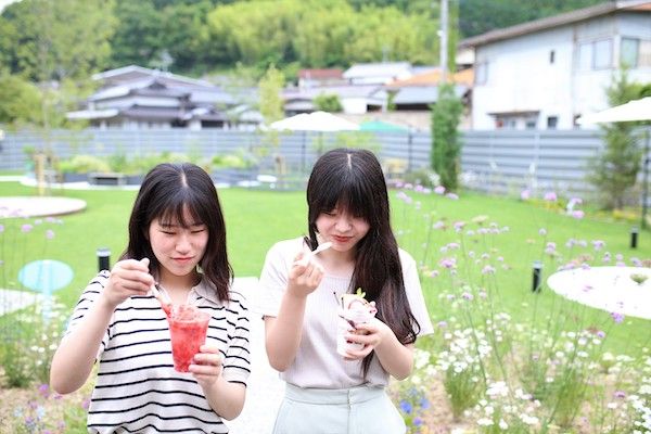 【岡山県美作市】白桃を3玉トッピングしたかき氷や白桃食べ放題も！美作農園や農園カフェ湯郷で提供中
