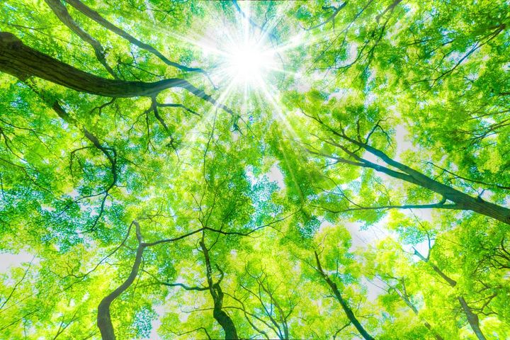 2026年7月9日(木)は開運日