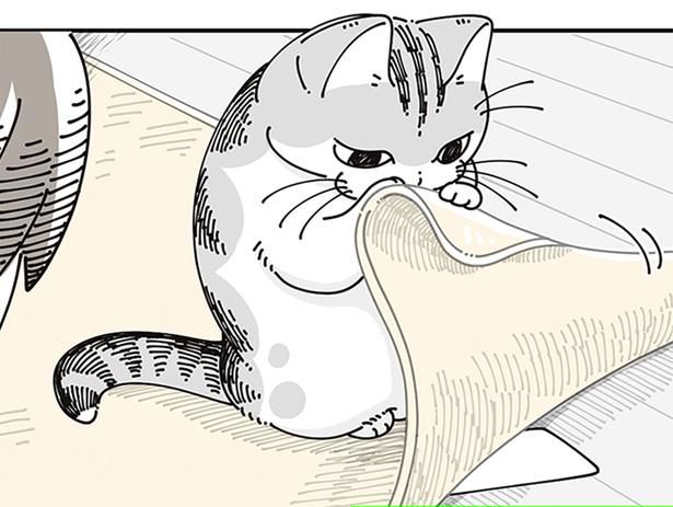 ぺらっ （C）キュルZ／KADOKAWA