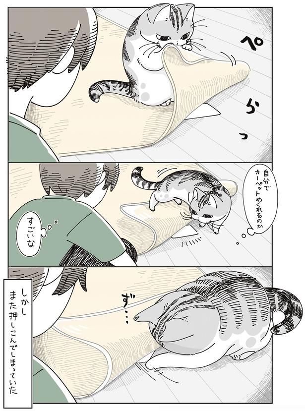 また押しこんでしまっていた （C）キュルZ／KADOKAWA