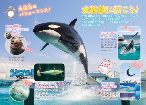 巻末は鴨川シーワールドの見どころページ。シャチのジャンプは大迫力！